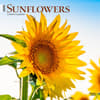 image Sunflowers 2025 Wall Calendar front cover