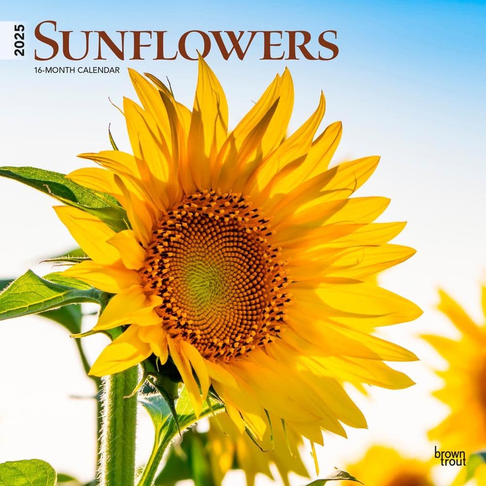 Sunflowers 2025 Wall Calendar front cover