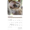 image Sloths 2026 Mini Wall Calendar Second Alternate Image