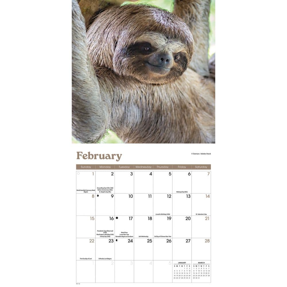 Sloths 2026 Mini Wall Calendar Second Alternate Image