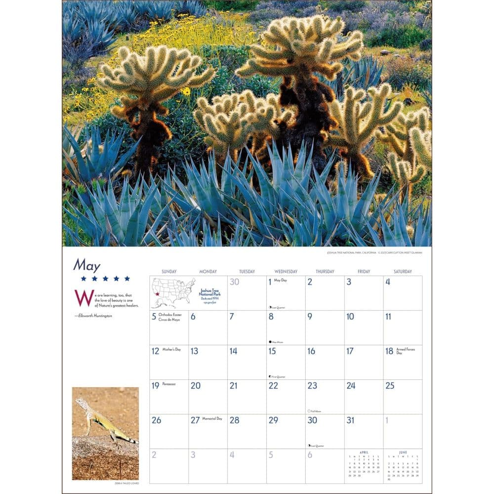 Americas National Parks 2024 Deluxe Wall Calendar Third Alternate Image width=&quot;1000&quot; height=&quot;1000&quot;