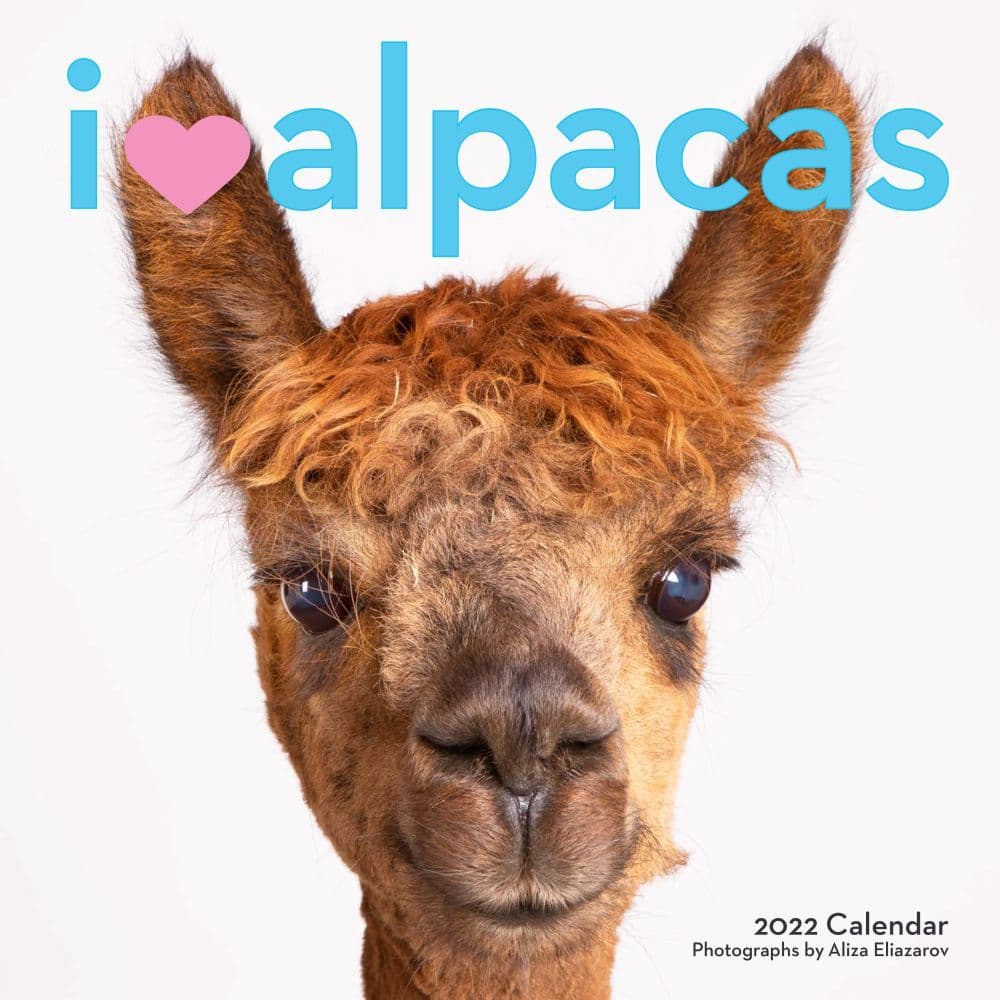 I Heart Alpacas 2022 Wall Calendar