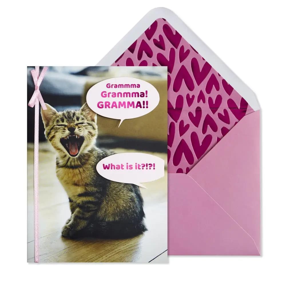 image Grandma Kitten Yelling Mother&#39;s Day Card