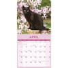 image Black Cats 2026 Wall Calendar Second Alternate Image