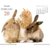 image Kittens &amp; Friends 2024 Desk Calendar Second Alternate Image width=&quot;1000&quot; height=&quot;1000&quot;