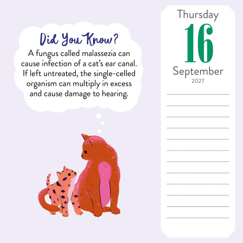 Cat Trivia 2027 Page-A-Day Desk Calendar Fourth Alternate Image