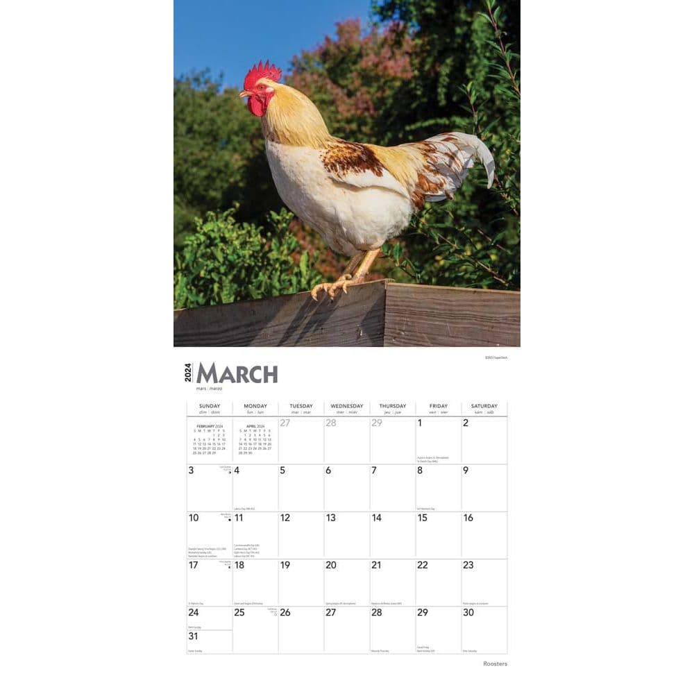 Roosters 2024 Wall Calendar