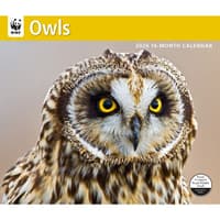 image Owls WWF 2026 Wall Calendar Main Product Image
