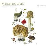 image Mushrooms Viazmensky 2026 Wall Calendar Main Product Image