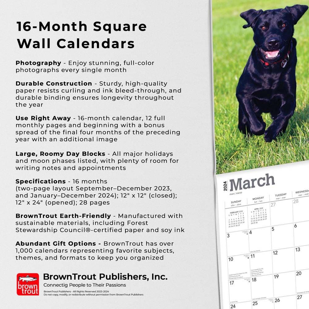 Black Lab Retriever Puppies 2024 Wall Calendar Fourth Alternate Image width=&quot;1000&quot; height=&quot;1000&quot;