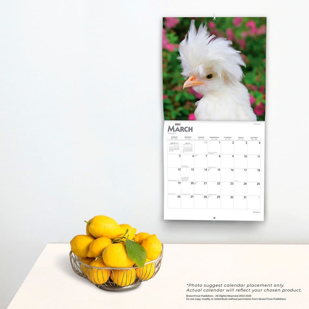 Chickens 2023 Square Wall Calendar - Calendars.com