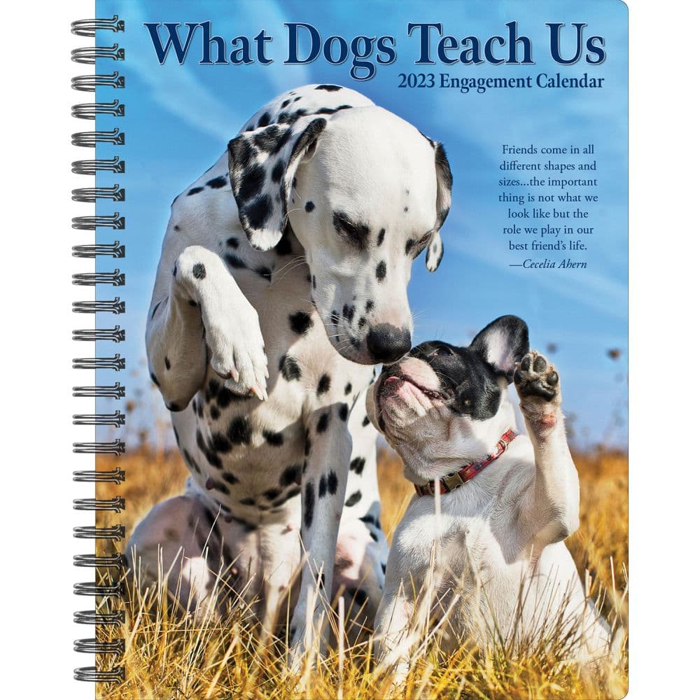 Willow Creek Press What Dogs Teach Us 2023 Engagement Calendar