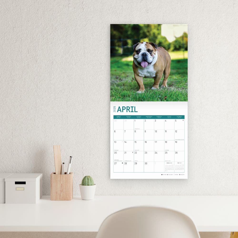 Bulldogs 2025 Wall Calendar Fifth Alternate Image