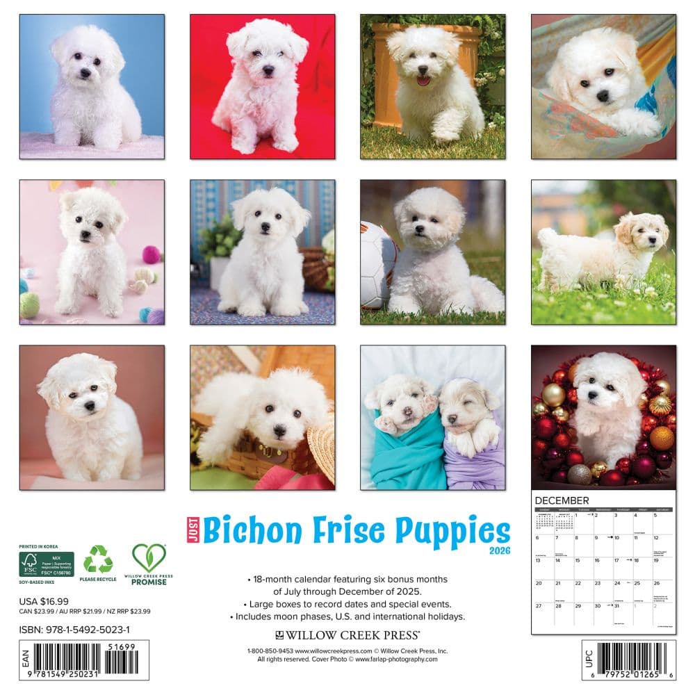 Just Bichon Frises Puppies 2026 Wall Calendar First Alternate Image