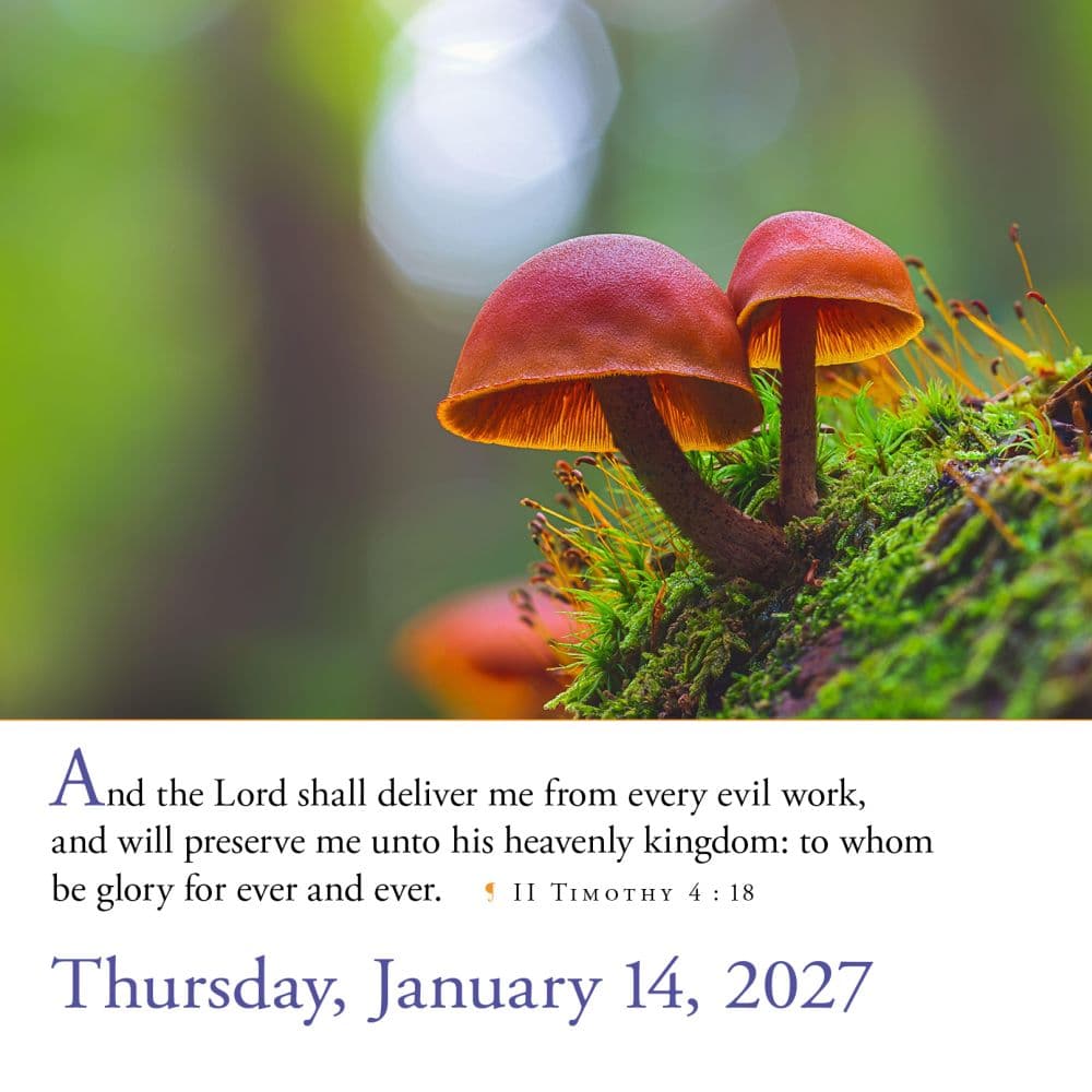 365 Bible Verses-A-Year 2027 Page-A-Day Desk Calendar Second  Alternate Image