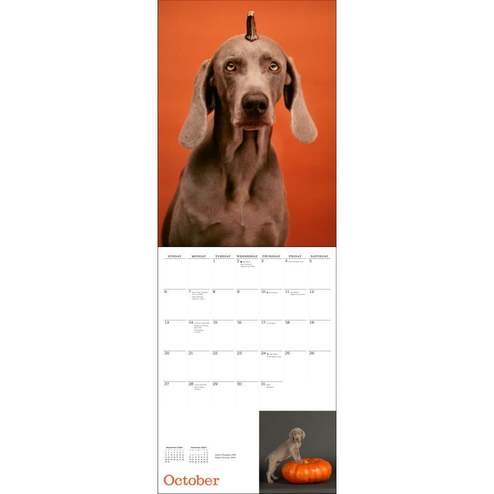 Wegman Mans Best Friend 2024 Wall Calendar - Calendars.com