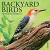 image Backyard Birds 2026 Mini Wall Calendar Main Product Image