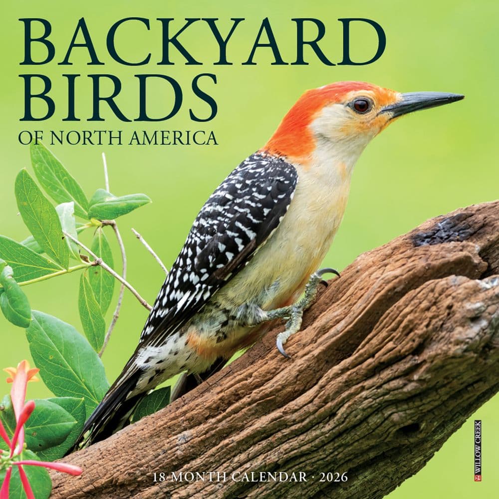 image Backyard Birds 2026 Mini Wall Calendar Main Product Image