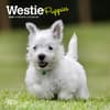 image West Highland Terrier Puppies 2025 Mini Wall Calendar Main Image