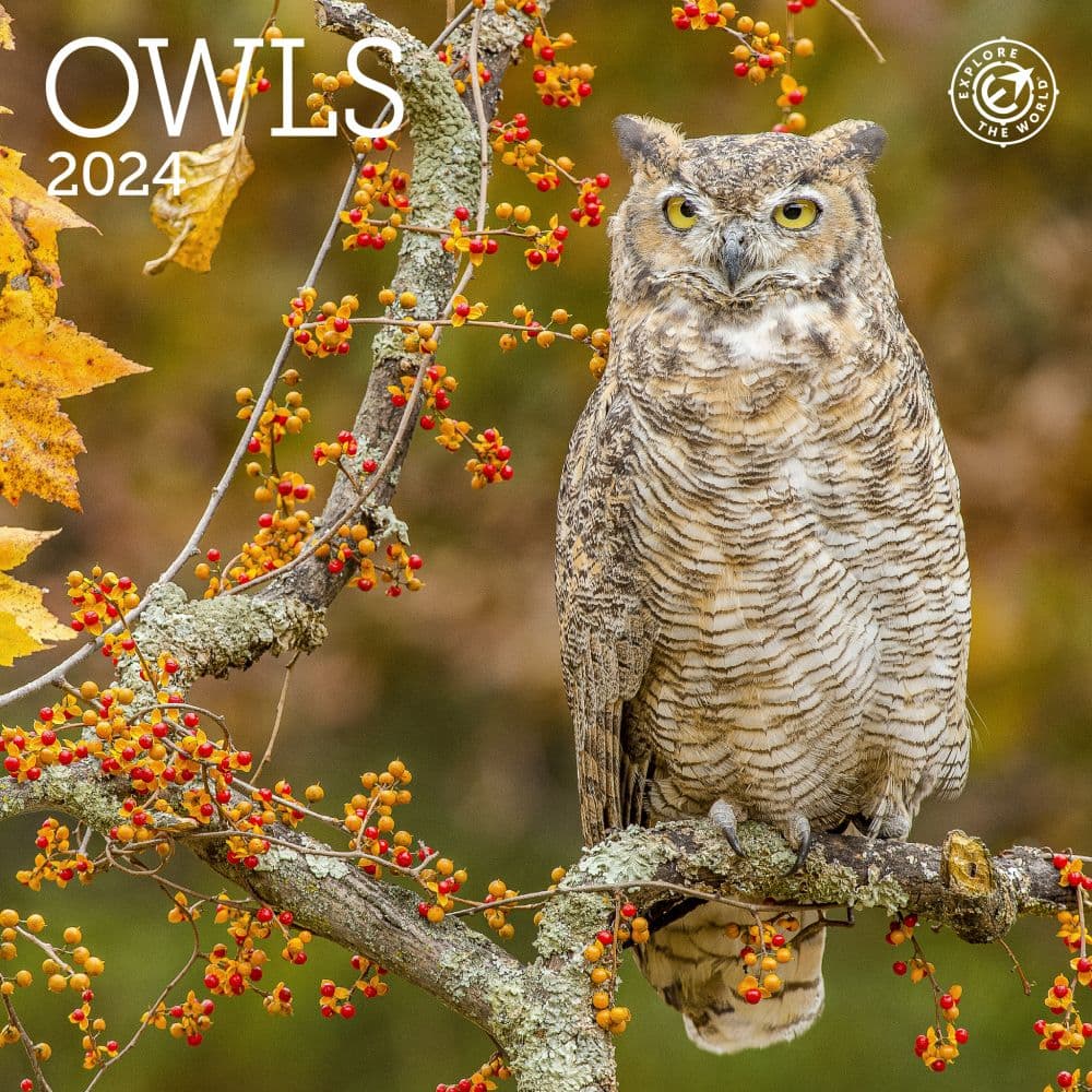 Owls 2024 Mini Wall Calendar