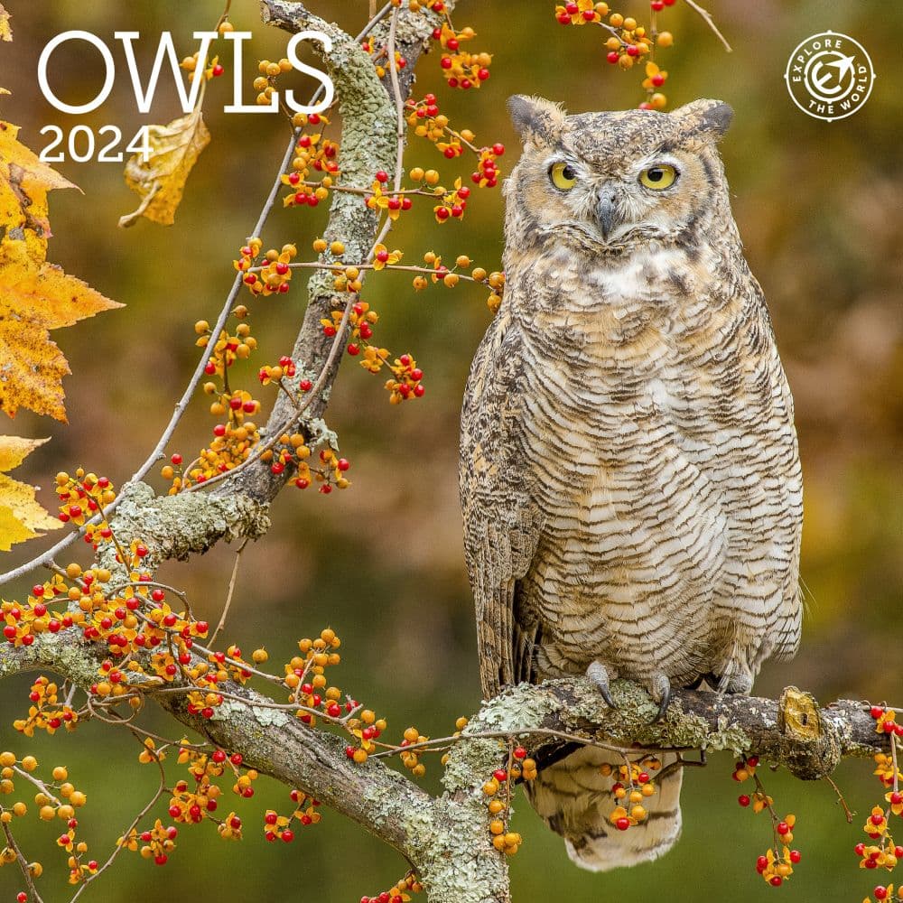 Owls 2025 Mini Wall Calendar