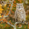 image owls-wwf-2024-mini-wall-calendar-main