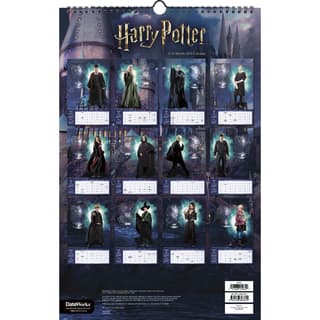 HARRY POTTER - Wall Calendar 2024 : : Calendar Grupo Erik Harry  Potter