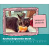 image Cats Are Cheaper Than Therapy 2026 Desk Calendar Third Alternate Image