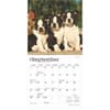 image Boston Terrier Puppies 2025 Mini Wall Calendar Third Alternate Image width=&quot;1000&quot; height=&quot;1000&quot;