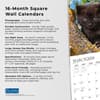 image Black Cats 2024 Wall Calendar Fourth Alternate Image width=&quot;1000&quot; height=&quot;1000&quot;