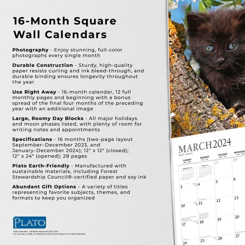 Black Cats 2024 Wall Calendar Fourth Alternate Image width=&quot;1000&quot; height=&quot;1000&quot;