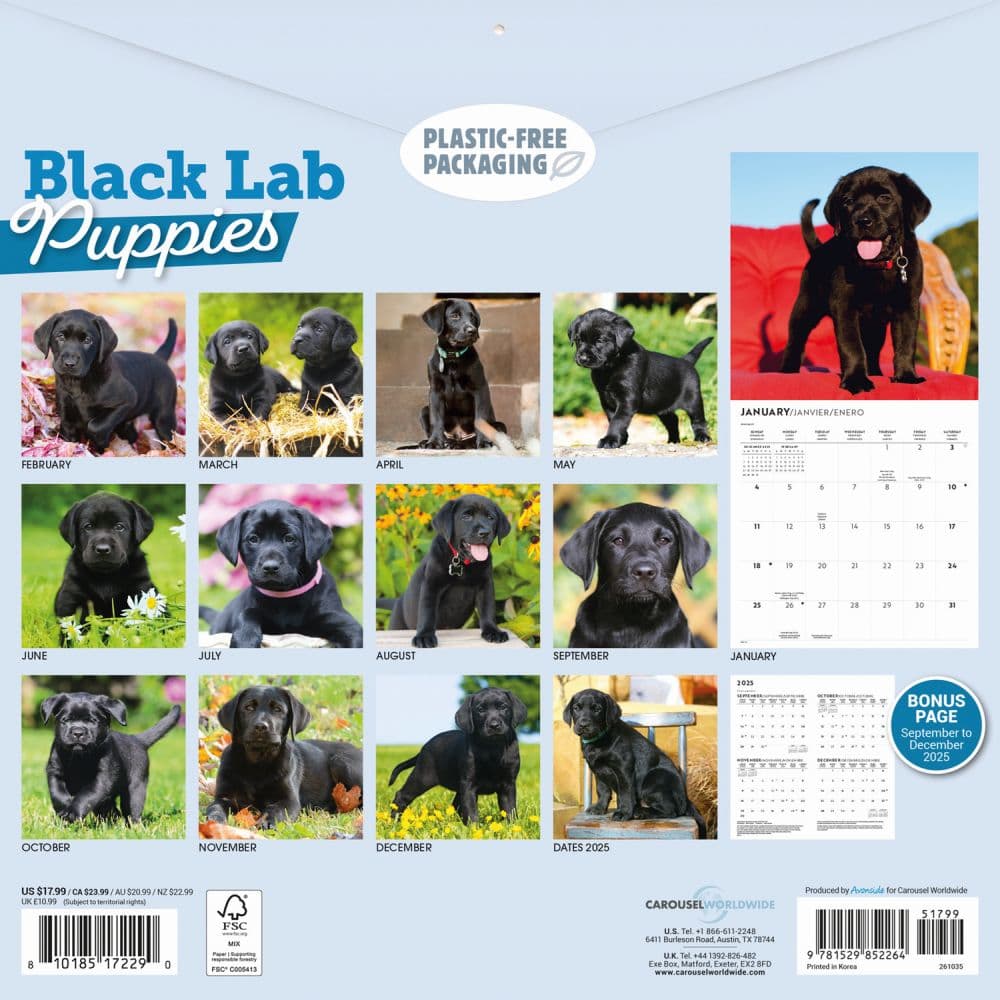 Black Lab Retriever Puppies 2026 Wall Calendar First Alternate Image