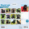 image Black Lab Retriever Puppies 2026 Wall Calendar First Alternate Image