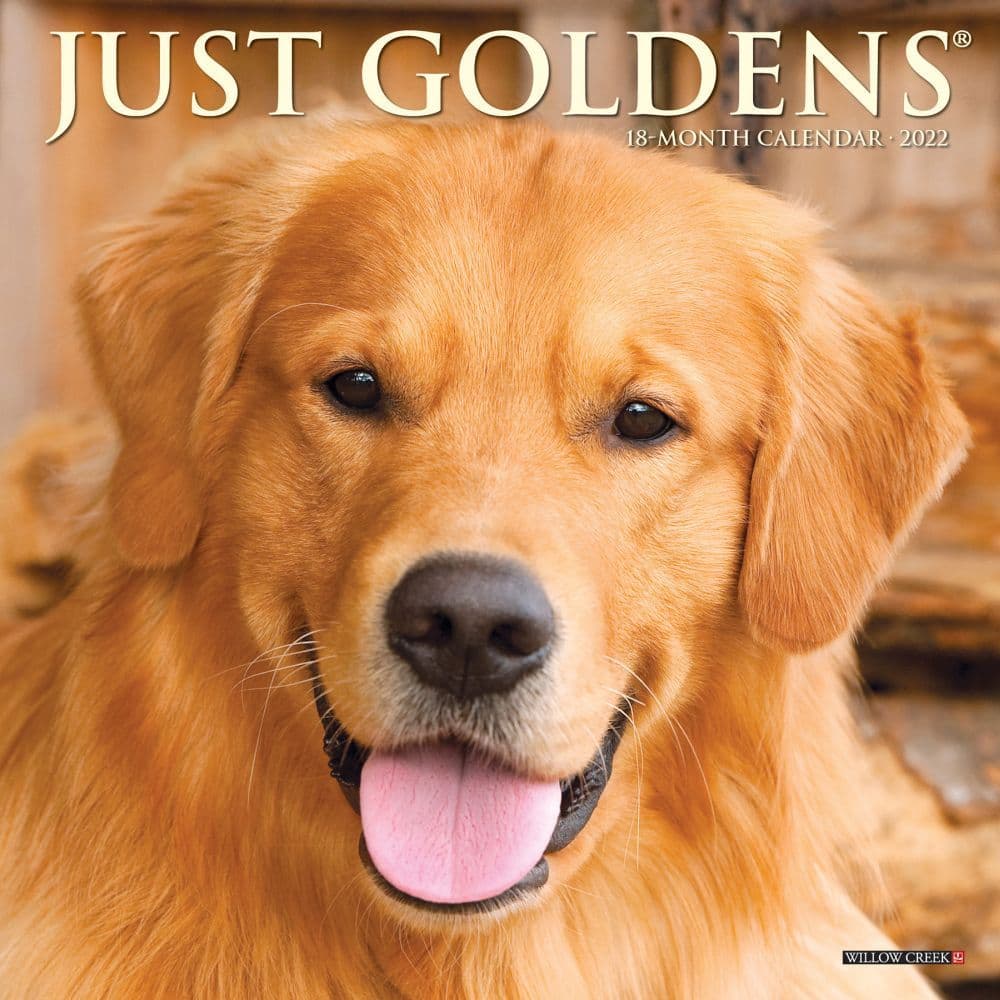 Just Goldens 2022 Mini Wall Calendar