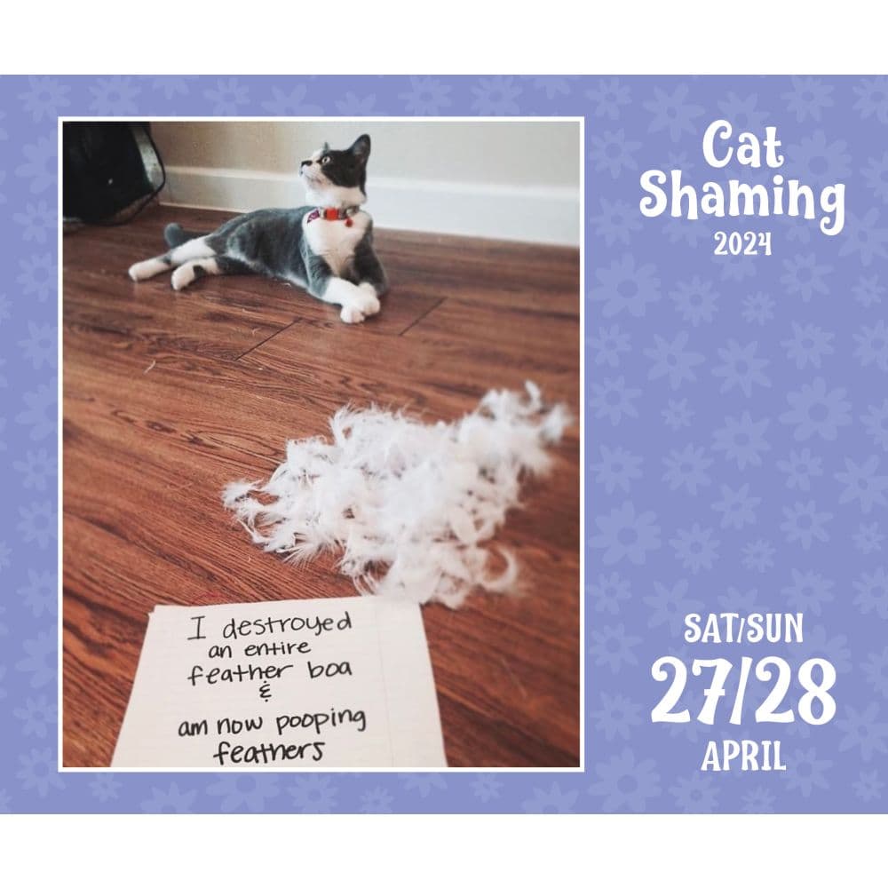 Cat Shaming 2024 Desk Calendar