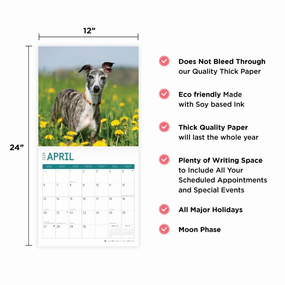 Whippets 2025 Wall Calendar Eighth Alternate Image