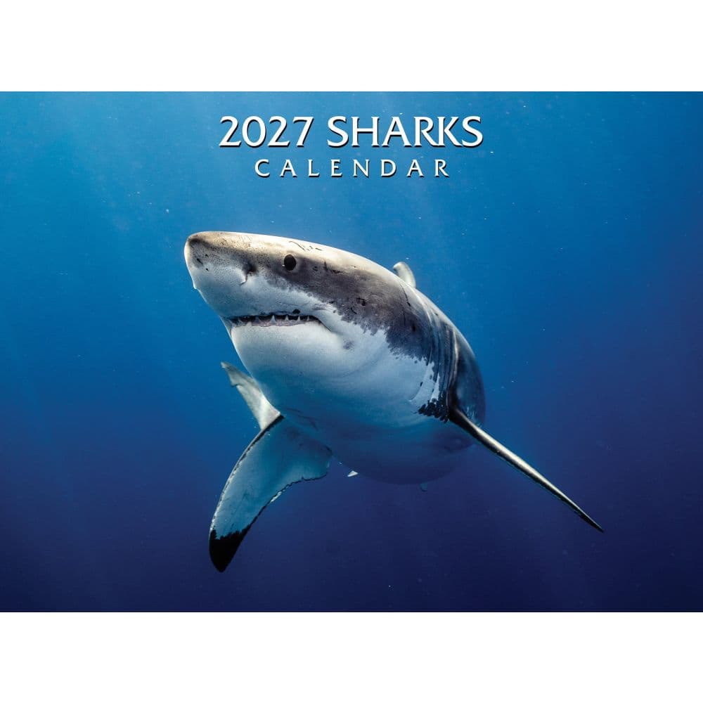 image Sharks 2027 Wall Calendar Main Product Image
