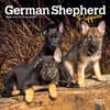 image German Shepherd Puppies 2025 Mini Wall Calendar Main Product Image width=&quot;1000&quot; height=&quot;1000&quot;