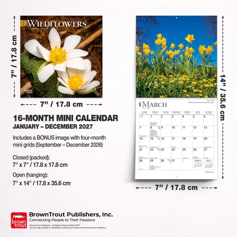 Wildflowers 2027 Mini Wall Calendar Sixth Alternate Image