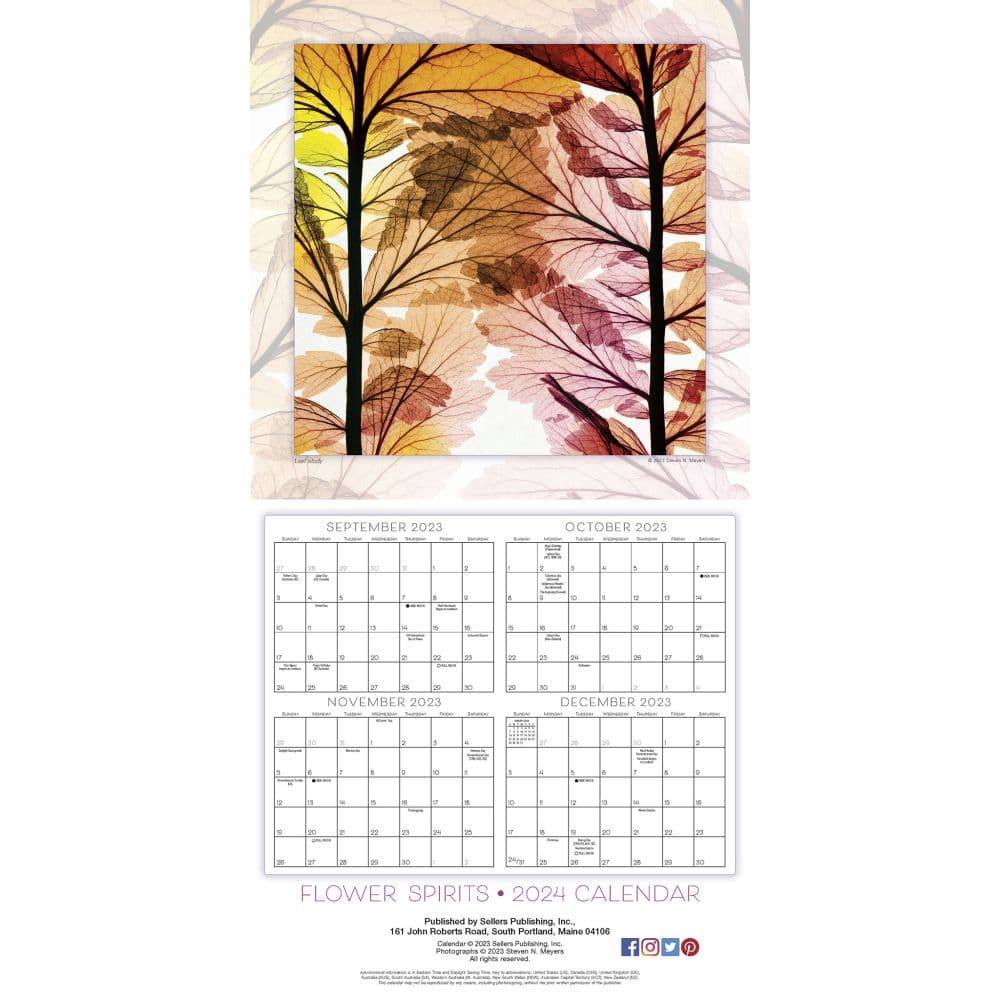 Flower Spirits 2024 Wall Calendar