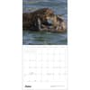image Sea Otters 2027 Wall Calendar Fifth Alternate Image