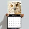 image Owls 2025 Wall Calendar Fourth Alternate Image