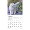 image Cat Lovers 2025 Mini Wall Calendar Second Alternate Image