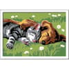 image Sleeping Cat and Dog Paint by Number Kit Second Alternate Image width=&quot;1000&quot; height=&quot;1000&quot;