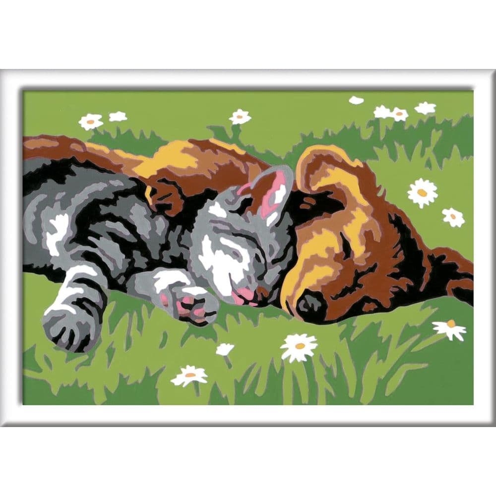 Sleeping Cat and Dog Paint by Number Kit Second Alternate Image width=&quot;1000&quot; height=&quot;1000&quot;