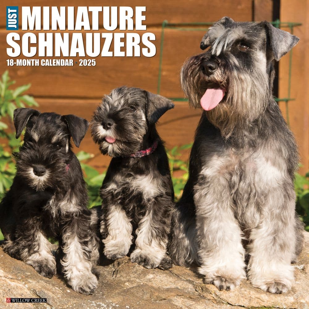 Just Miniature Schnauzers 2025 Wall Calendar