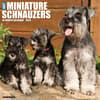 image Just Miniature Schnauzers 2025 Wall Calendar Main Image