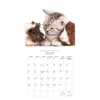 image Kittens and Friends 2026 Mini Wall Calendar Third Alternate Image