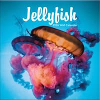 image Jellyfish Photo 2026 Wall Calendar