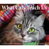 image Cats What Cats Teach Us 2026 Desk Calendar Fourth Alternate Image